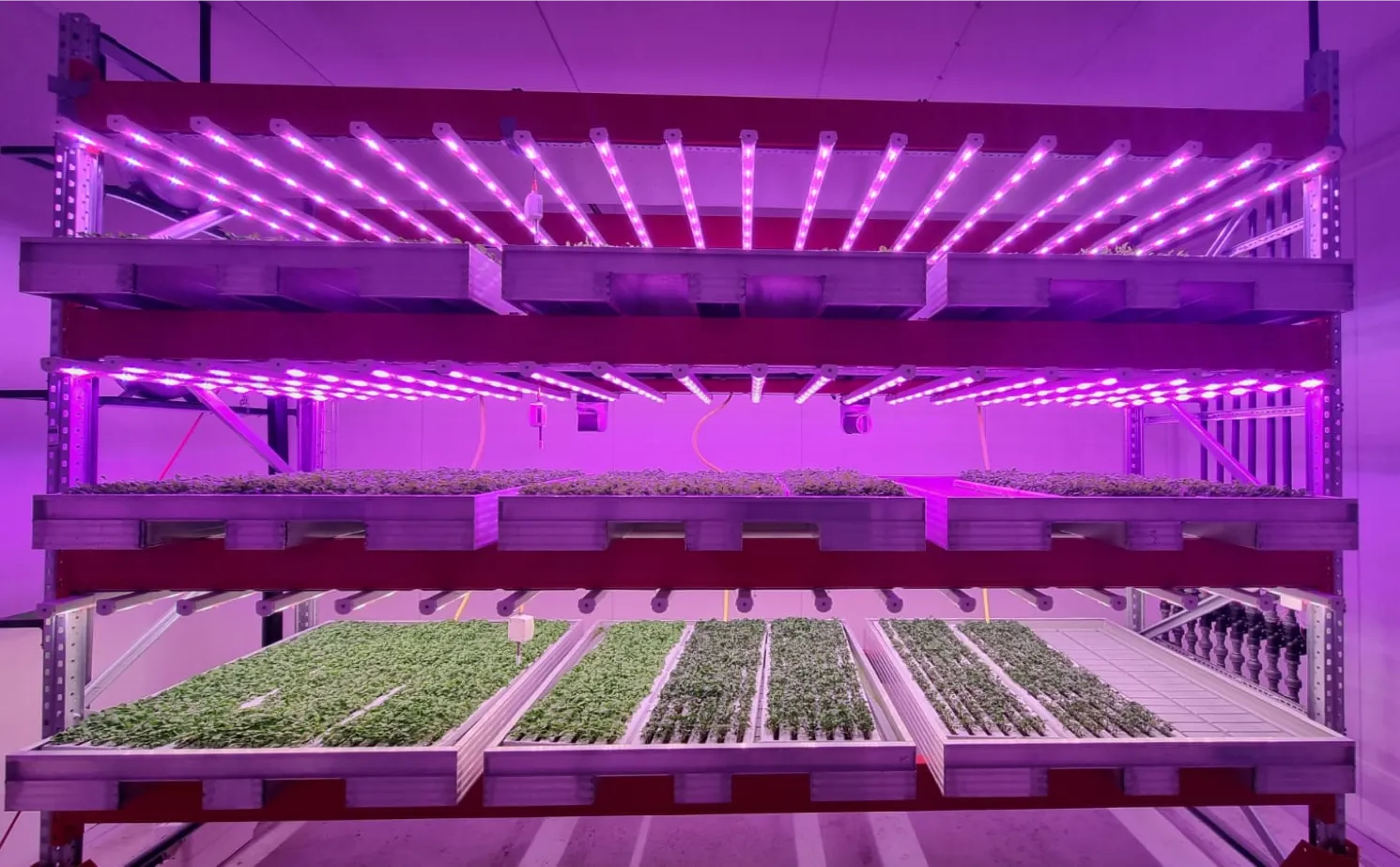 Ljusgårda site photography